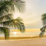 Temporada baja en Puerto Vallarta: la oportunidad perfecta para tu familia en Crown Paradise Vallarta